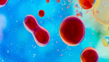abstract immune system
