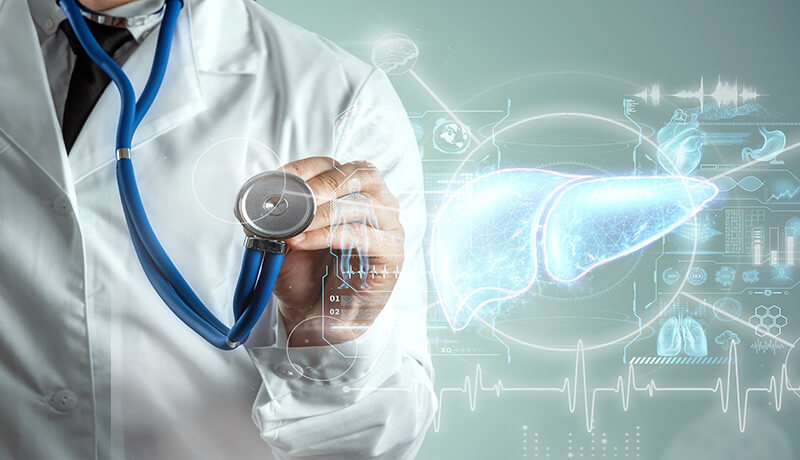 Doctor examing a virtual Liver to see if there is any pain or any Liver injury