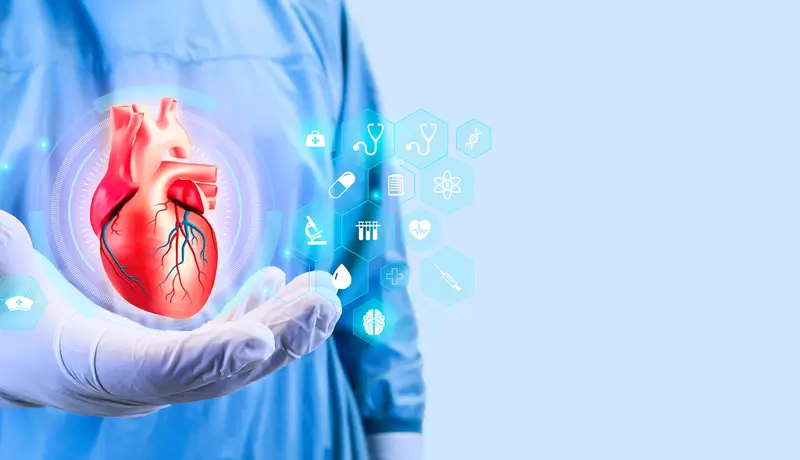 Χειρουργός κρατάει ρεαλιστική αναπαράσταση της καρδιάς, υπογραμμίζοντας την ιατρική φροντίδα για καρδιολογικά θέματα.