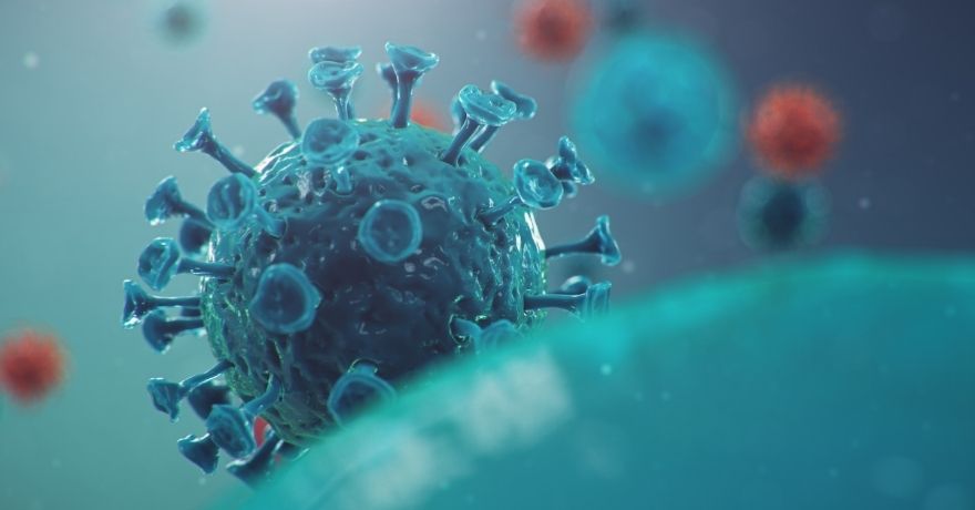 a coronavirus as it attaches to a target cell # COVID-19