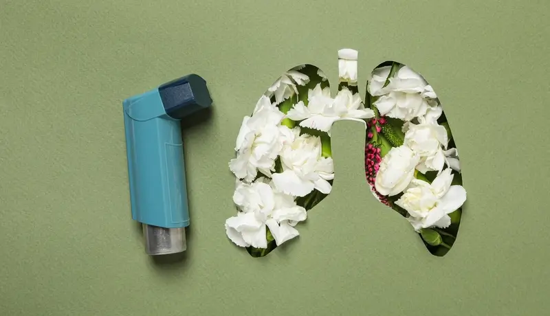 A picture that shows an inhaler and the human lungs